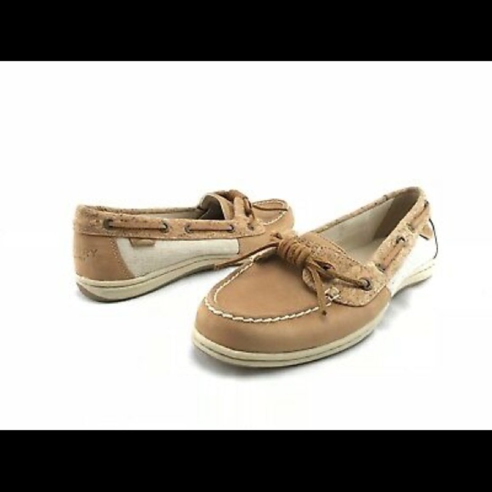 Angelfish topsider - Picture 2 of 6